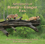 Adventures of Rusty & Ginger Fox